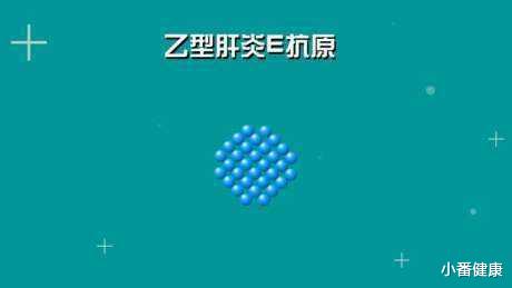 核糖核酸|乙肝在研新药两项靶点，核糖核酸酶H或核心抑制剂，详解作用机制