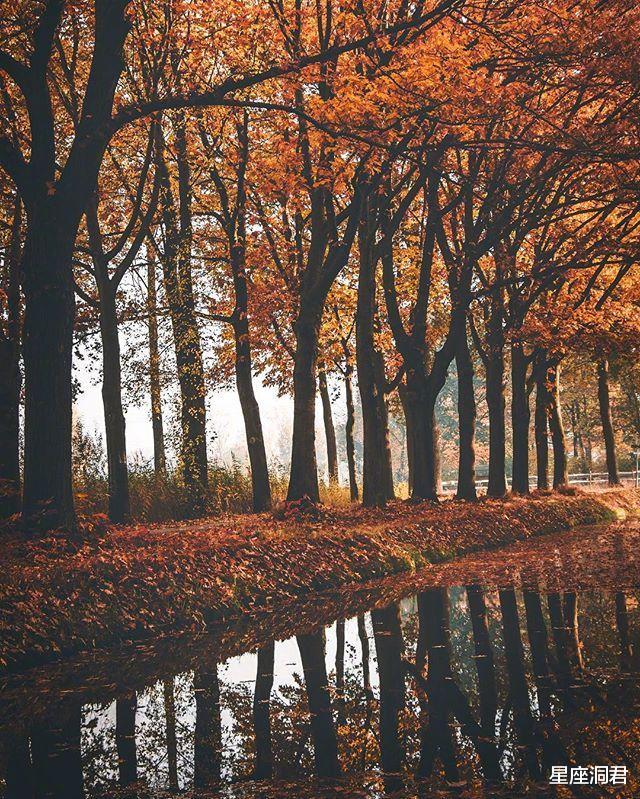 「星座女」自身气质极佳，最让人念念不忘的星座女