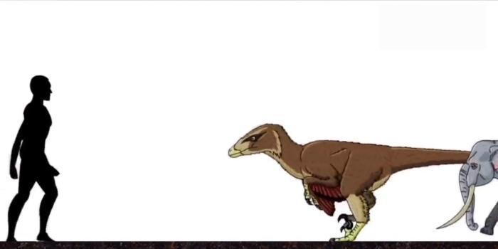 恐龙|远古时期的地球, 曾存在过的可怕生物, 今已全部灭绝