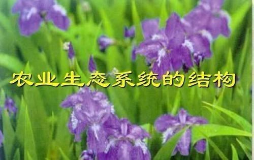 ▲高考选专业:这6类专业要慎重填报,除非特感兴趣,2020考生参考