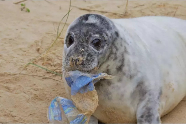 |潜水艇深入海底3900米，拍到一张照片引发网友热议：这还是地球？