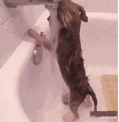 小姐姐|和女友出来钓鱼，我没办法集中注意力了，哈哈哈哈哈这谁顶得住？