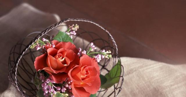 吉星|8月底，紫气东来，八方来财，3生肖吉星庇护，贵人相助好事到