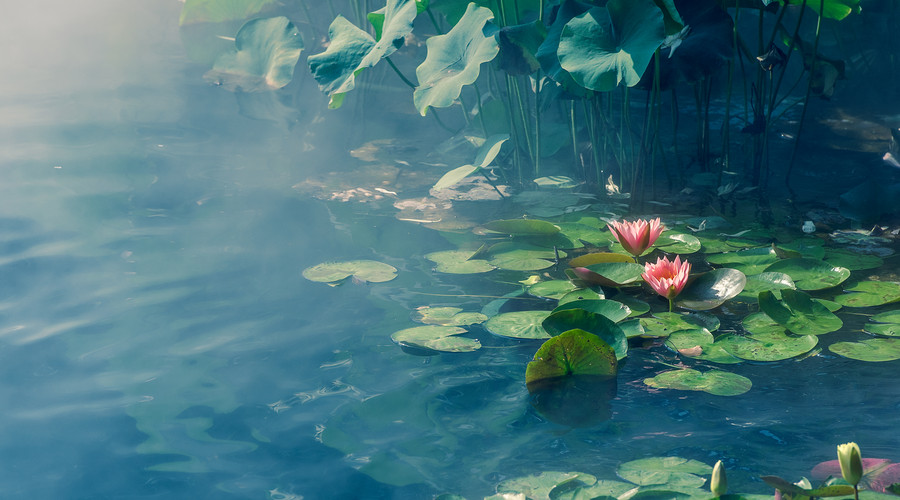 『』实不相瞒：15天内好运信手拈来，财运一旺再旺，有财有福的属相