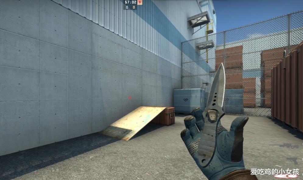 csgo|CSGO最特殊的一个皮肤？磨损排名世界第5，却足足有13把