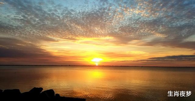 「生肖」一周后，旧情回归，深陷情网，3生肖破镜重圆，余生恩爱有加