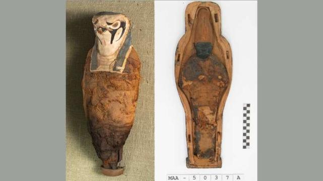 木乃伊|以色列科学家扫描神秘的古埃及小木乃伊,发现里面包裹的不是人类