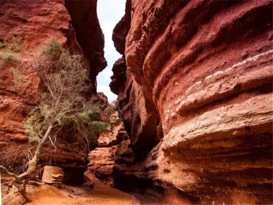 新疆维吾尔自治区|世上最美的峡谷，就在中国！