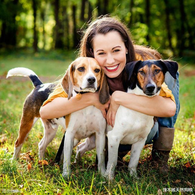 狗狗爱主人至深，会有这7种“示爱”行为，你有收到过吗？