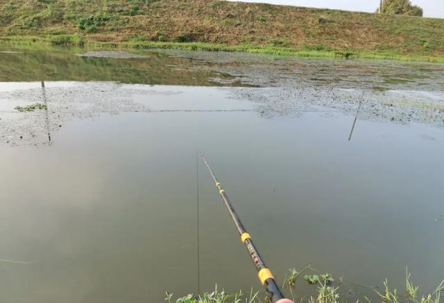 |钓鱼出现这5个“症状”，估计是上瘾了，没得治了！