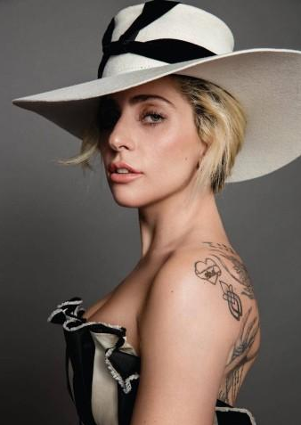 [Lady Gaga]Lady GaGa发动全球巨星开“云演唱会”，找68个巨头筹款9亿