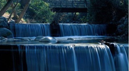 #生肖#结婚时间越长反而越旺夫，善良淳朴，属于贤良淑德的四大生肖女
