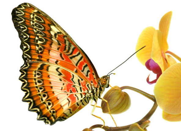 运势：7月份开始，4属相运势转好，收入水涨船高，日子越过越顺心