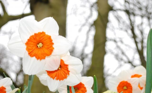 生肖|10月有好运入命，4大生肖财运飞来，幸运聚集，腰包鼓起来！