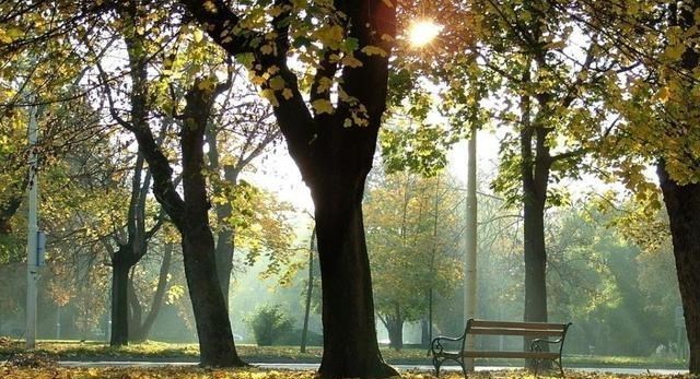 星体|人的眼睛最远能够看到多远的星体？