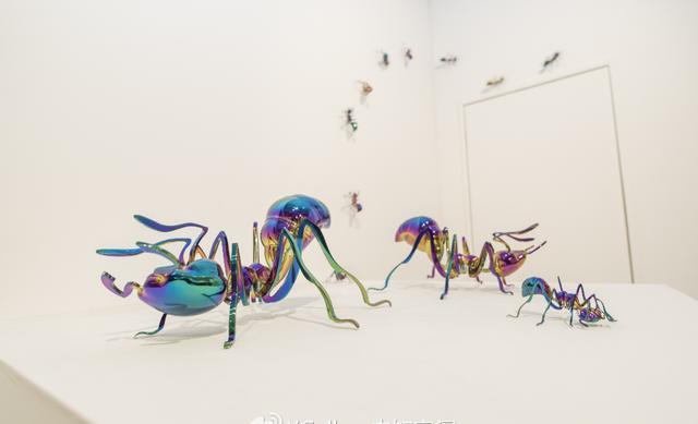 行星|德国科学家已证实存在四维空间,进入后可以直接看到人的一生?