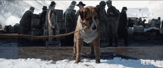 迪士尼▲迪士尼花了1亿,把经典改翻车了?