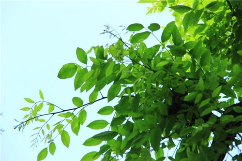 马克·吐温|人类历史上,几乎很难再被复制的3个完美巧合事实,让人后背发凉