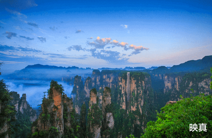 映真|我国的\＂保护动物\＂，为何在湖南成了下酒菜？当地人：合法的