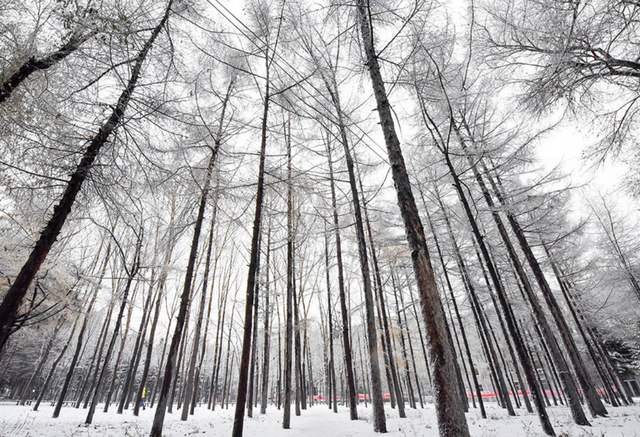 大学|2020中国大学200强名单：你的学校排名多少？考生可收藏