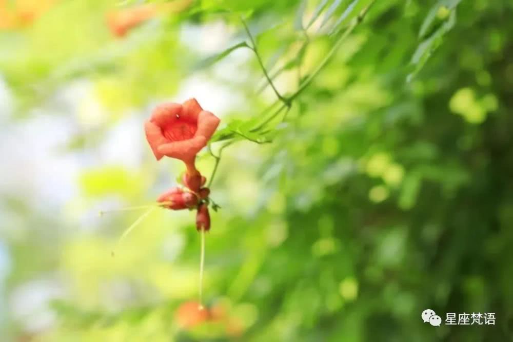 运势@5月份将会正财和偏财持续大涨，喜事从天降，贵人主动来帮忙的四生肖
