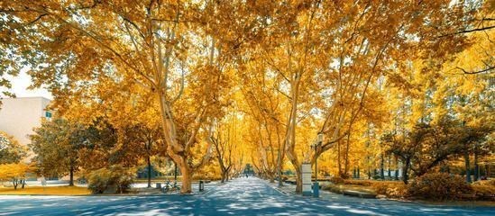 【】想学小语种,这所普通大学表现“亮眼”,高考生家长容易忽略