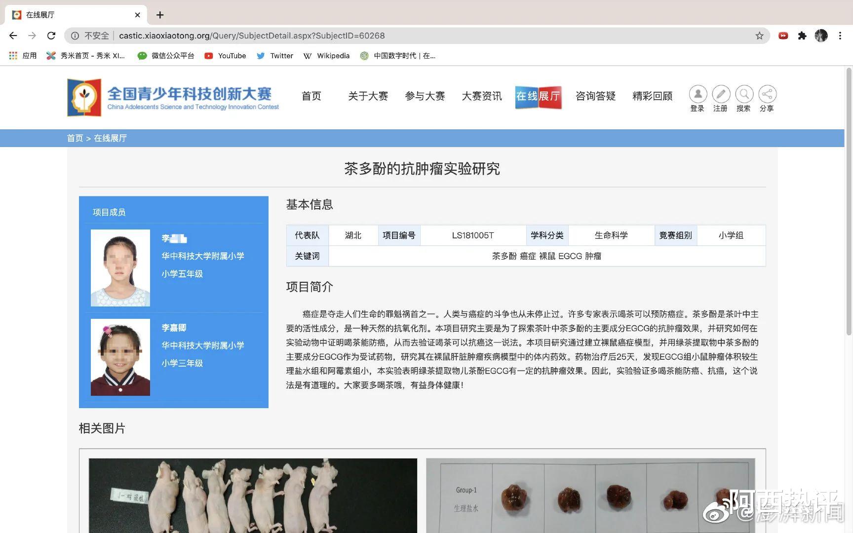 |被质疑的神童:“你们为啥阻拦我成为科学家的梦想?”