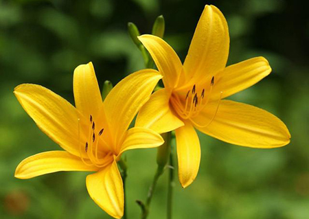 『摩羯座』最被低估的三个星座，40岁后到巅峰，富贵临门