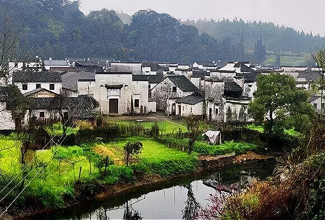 马云|马云说“致富未来在农村”，农村哪些行业能致富？3种工作可参考