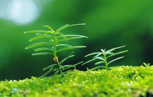 吉星：熬到7月，工作畅通无阻，吉星高照，不再阴雨连连的生肖