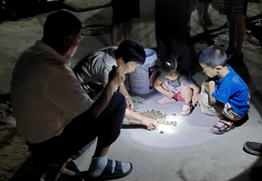 山东商报|知了猴还能吃吗？山东禁食名单已出！商报记者探访济南金蝉养殖村……