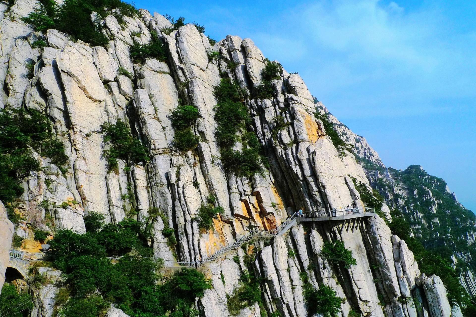 趣观历史|38年前河南农民挖药，发现一金片，专家欣喜：没想到被你找到了