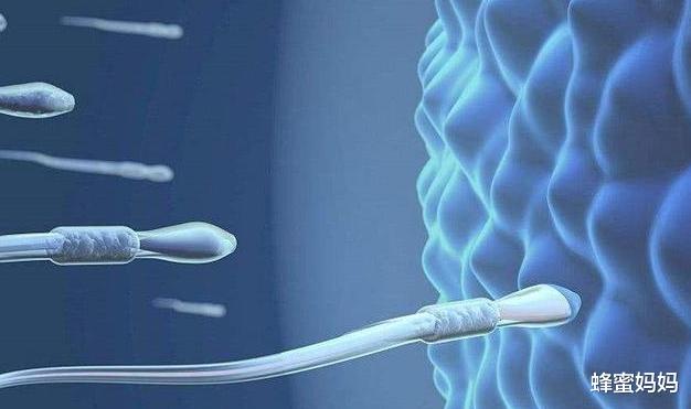 绝经|妇科专家：女性最佳“绝经”年龄是这个数，太早或太晚都不健康