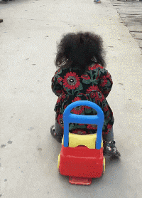 西游记|“猜猜我在张卫健版的西游记里发现了啥！”哈哈哈鸡你太美