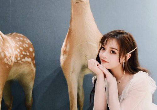 丁太升■丁太升点评《歌手》,直接说黄霄雲的《连名带姓》,俗不可耐