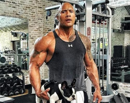 wwe:中国选手在WWE接二连三被解雇,有观众说中国人不适合WWE,你怎么看?