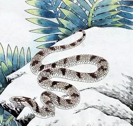 「生肖」今年下半年，3生肖事业不再输，生意不再凉，抬头只见晴空万里