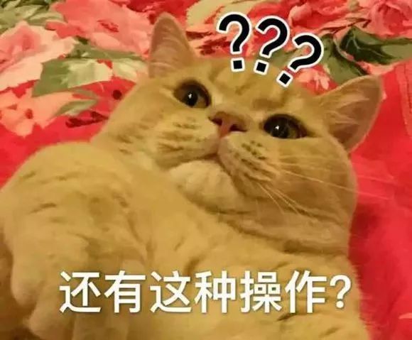 猫咪体味能防癌！？为了健康请大口吸猫！