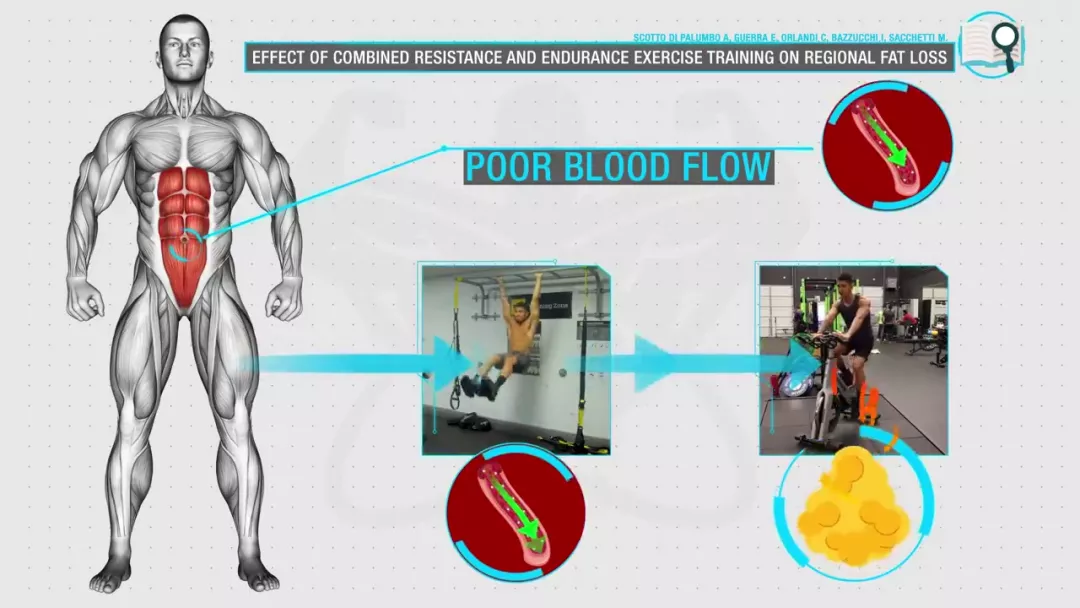 妇科■如何减掉腹部顽固脂肪，让腹肌露出来