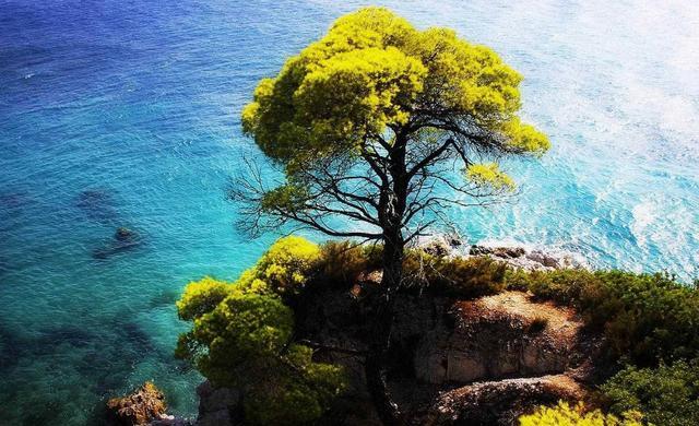 牛人：国内知名度极高的4条步行街，去过2条算及格，全去过的是“牛人”