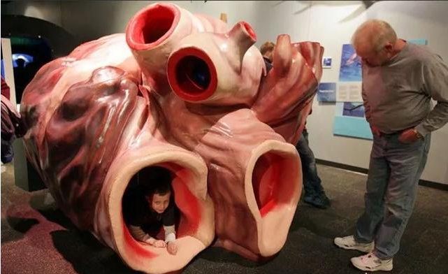 『』盘点当今世界的巨型生物