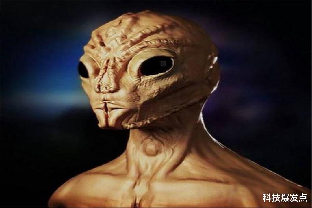 相机|胚胎包裹的不明人形生物，男子拍下清晰照片，身份依旧难以确认！