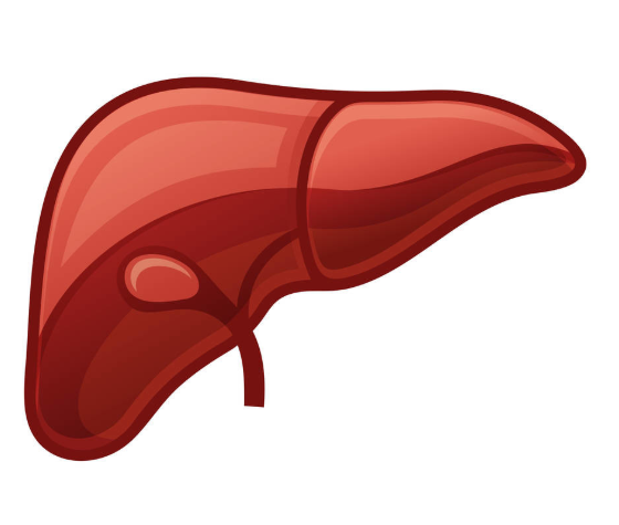 『肝脏』肝不好的人,身体会出现5大共性,如果没有,肝脏还算健康!