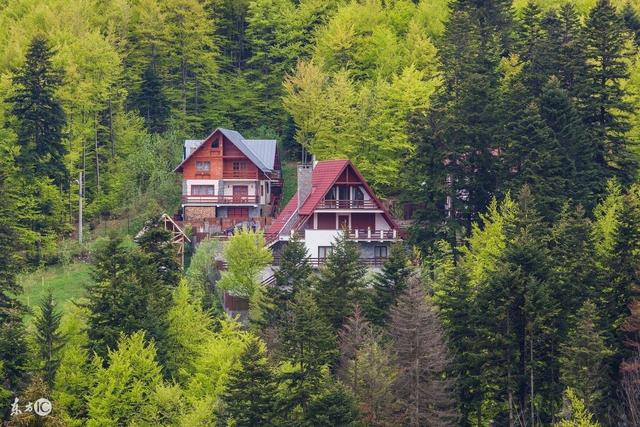 『运势』未来10天好运连连，运势逐步递增，事业飞黄腾达，大富特富3生肖