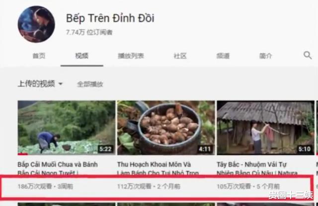 「李子柒」越南博主抄袭李子柒,拍摄手法如出一辙,网友痛斥“不要脸”