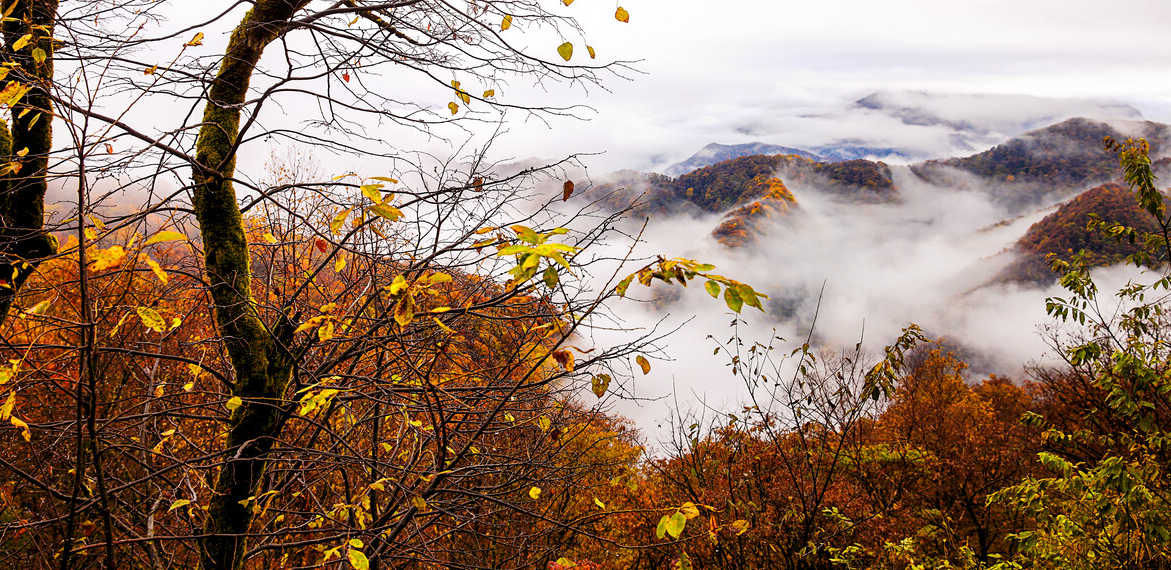 神农架|秋光乍泄 美景成诗 秋日的神农架 一定会惊艳到你