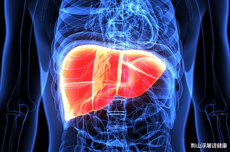 肝脏|早晨是养肝黄金期，肝不好的人，多吃4种早餐，肝脏会很高兴！