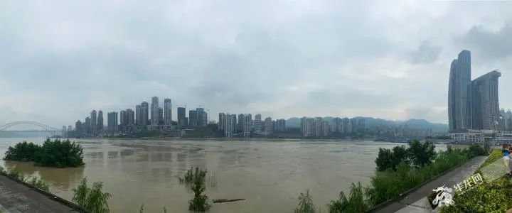 重庆|现场直击！40年来最大洪水过境重庆，主城多地被淹