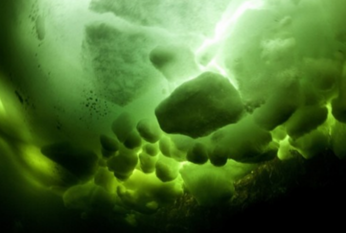 钻石|仅凭一块“7号冰”，就能冻结地球上所有海洋，它真这么邪性？