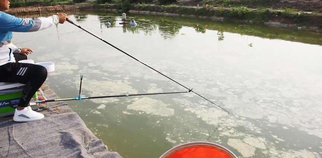 退休|钓鱼,竿尖为什么压入水中?入水多少合适?